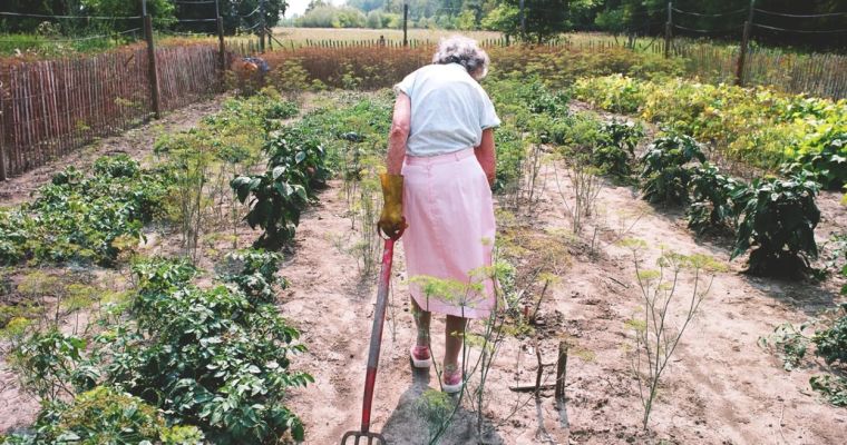 UK Green Film Festival: Agatha's Almanac (12A)