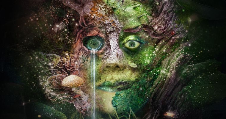 Bog Witch
