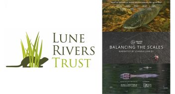 Balancing the Scales (PG)
