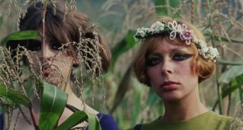 Screen Dreams Cinema Club: Daisies (15)