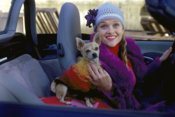 rewind: Legally Blonde (12A)