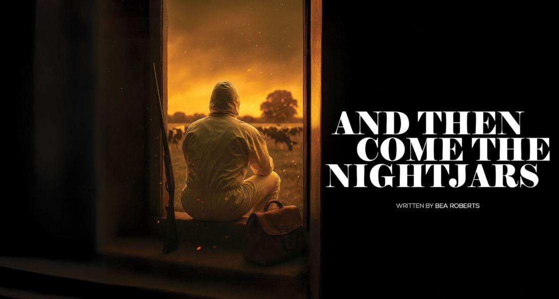 And Then Come The Nightjars