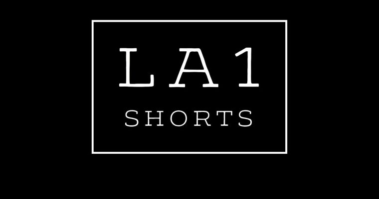 Filmmakers Chat with LA1 Shorts