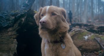 Spooked: Good Boy (15)