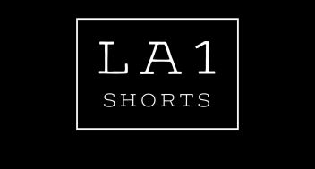 Filmmakers Chat with LA1 Shorts
