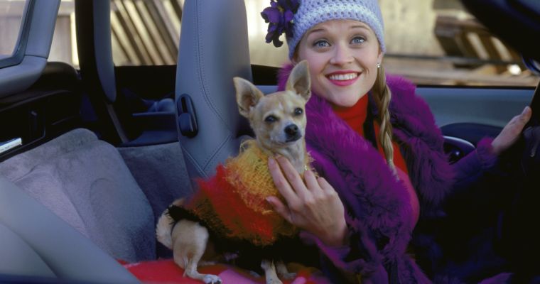 rewind: Legally Blonde (12A)
