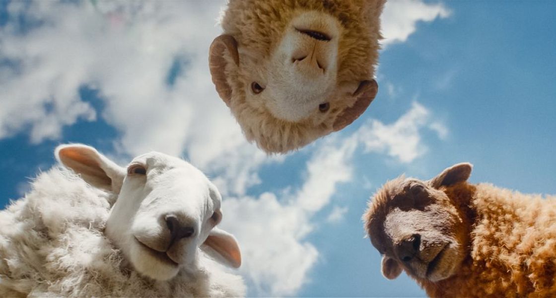 The Sheep Detectives (PG)
