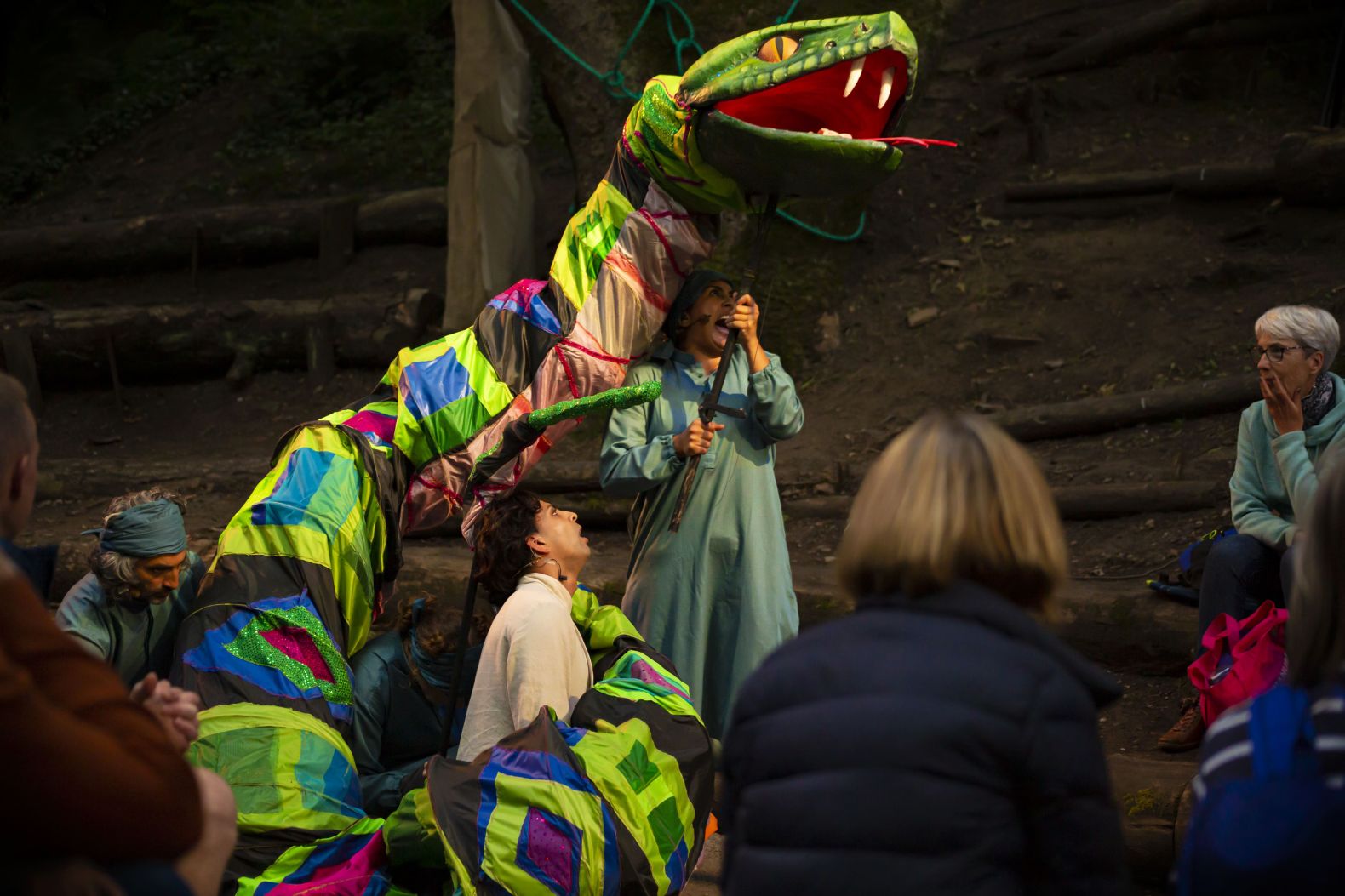 Open Auditions For Park Show