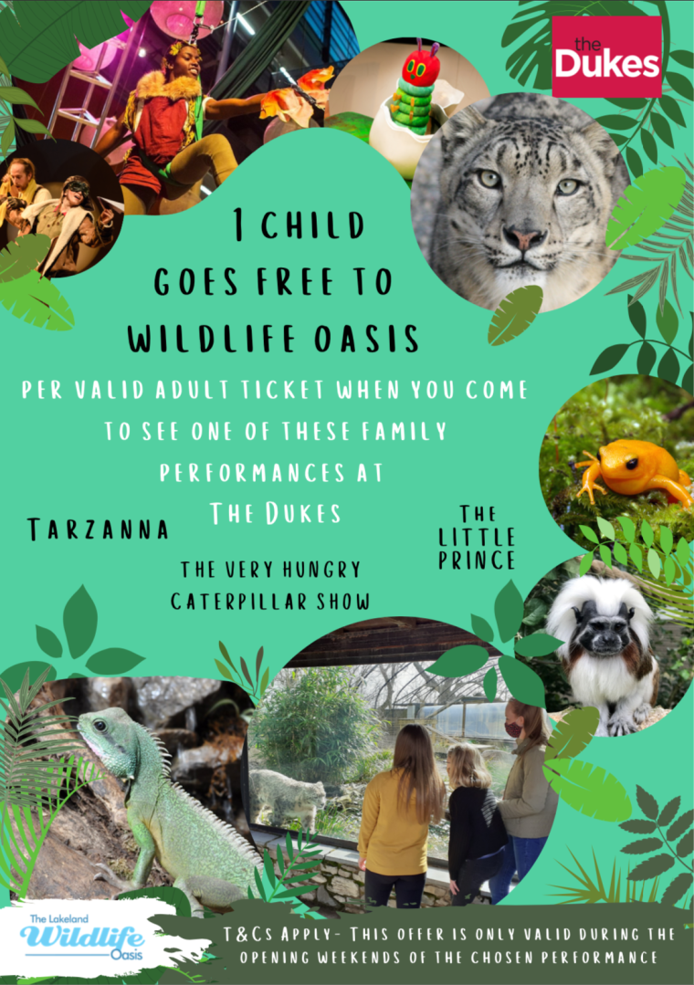 Family Fun day offer for our children's shows