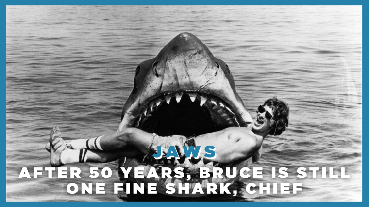 Jaws: After 50 years, Bruce is still one fine shark, Chief