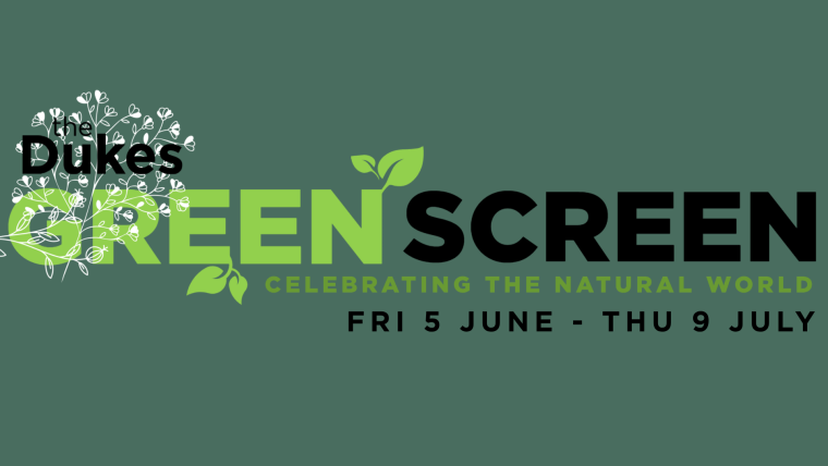 Green Screen: Everything you need to know!