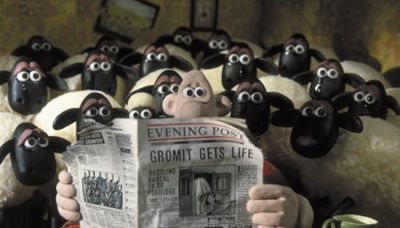 Wallace reading a newspaoer in his armchar, surrounded by sheep